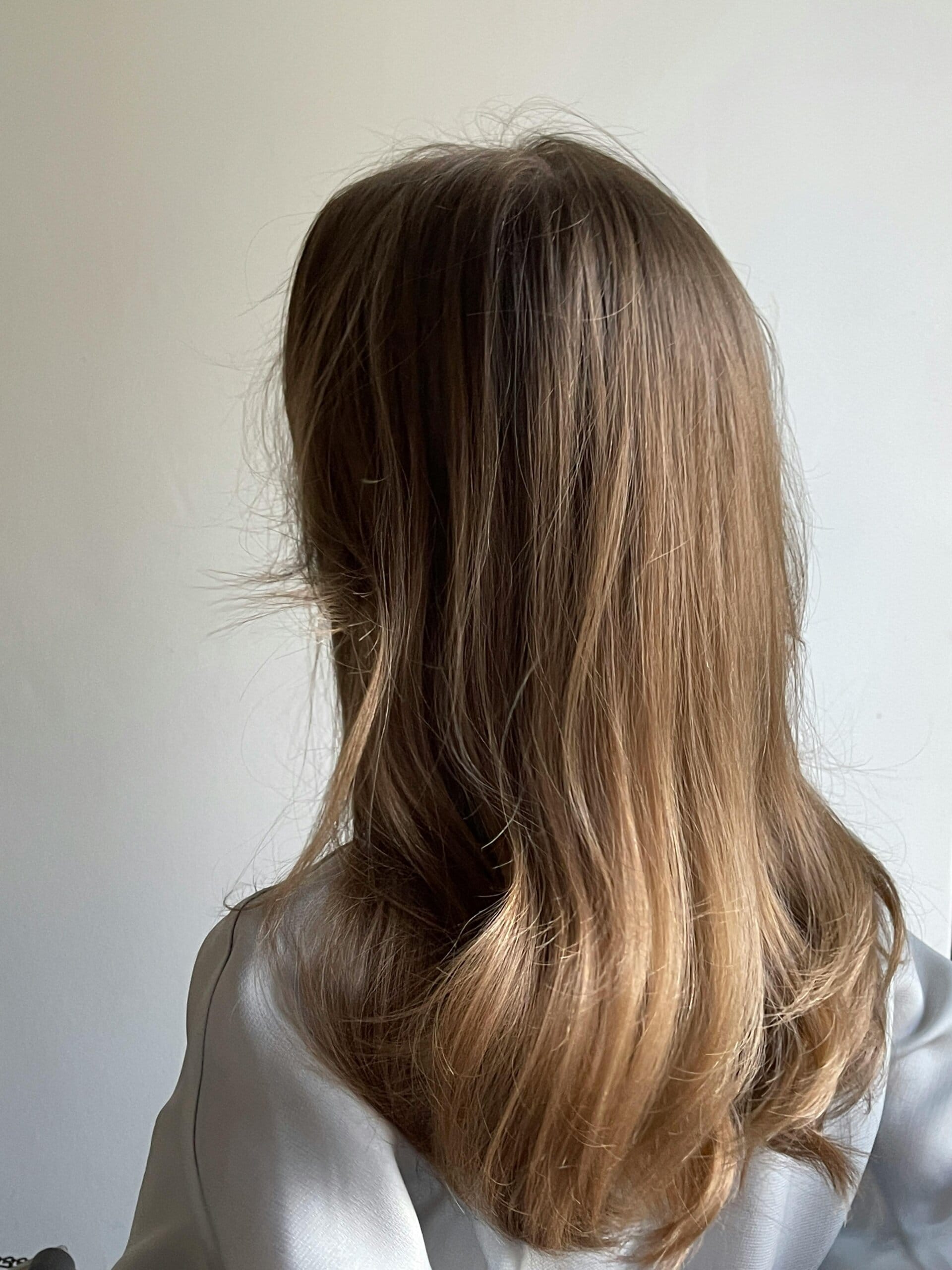 Melena lisa por debajo de los hombros con balayage del castaño de la raíz al rubio miel de las puntas, vista de espaldas