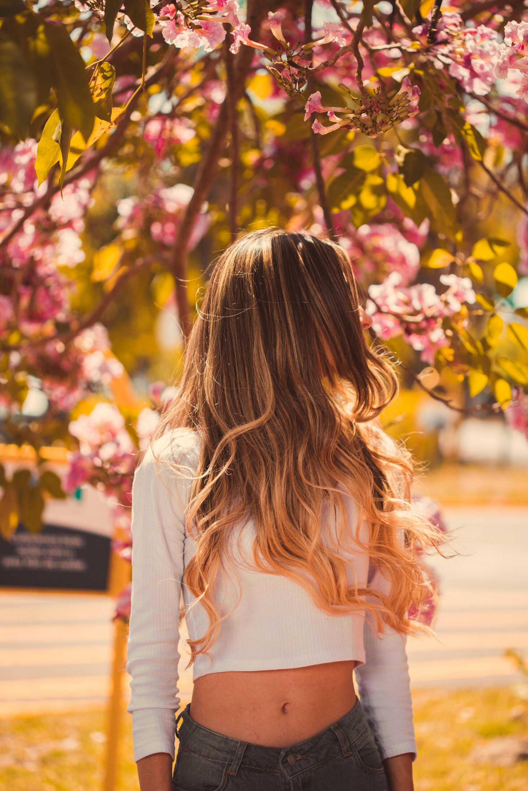 Balayage5