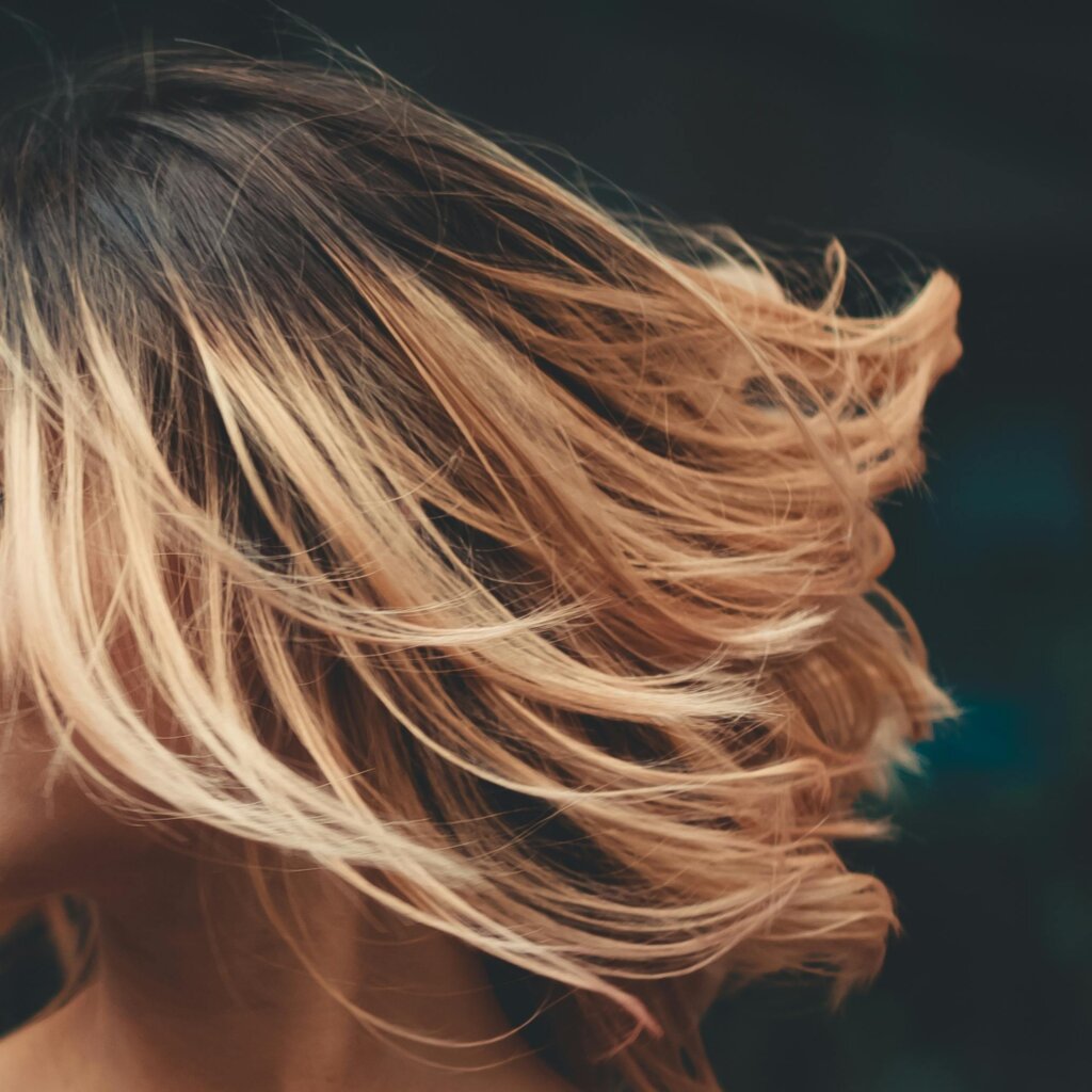 Mechas2