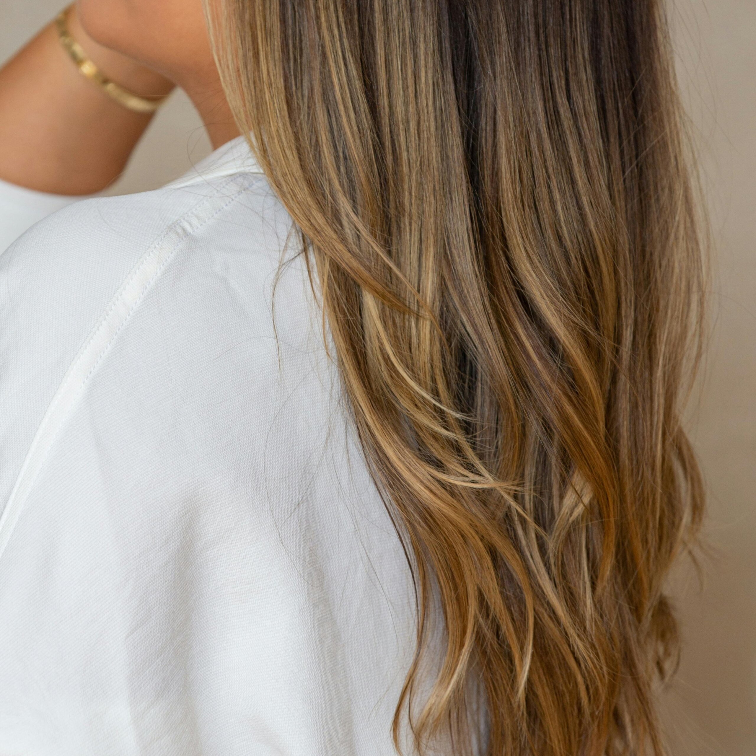 Mechas6